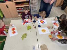 hvězdná návštěva 